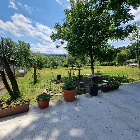 Casa Primitoare In Inima Naturii Si Padurii Rasca  Extérieur photo