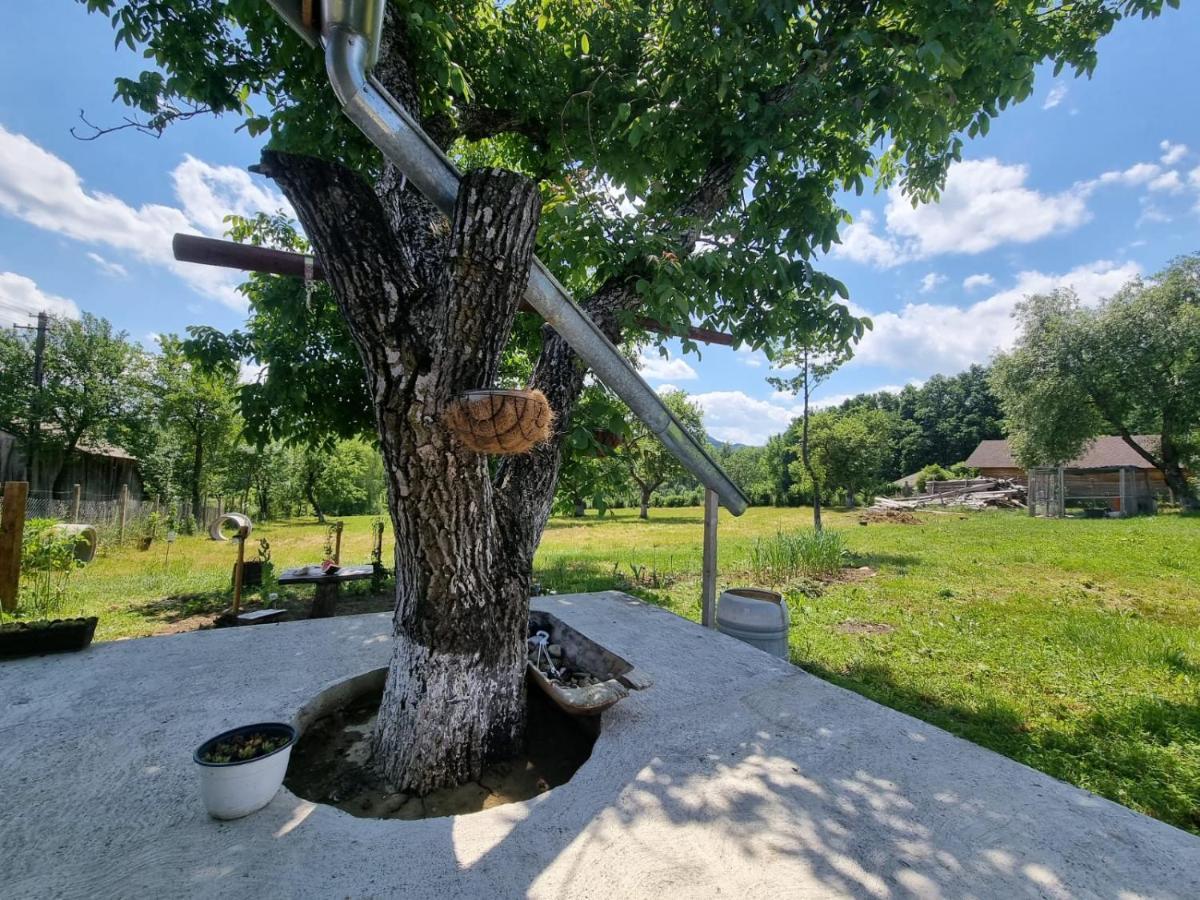 Casa Primitoare In Inima Naturii Si Padurii Rasca  Extérieur photo