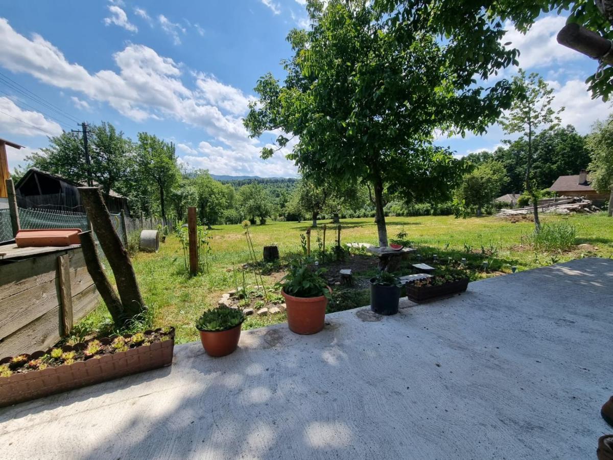 Casa Primitoare In Inima Naturii Si Padurii Rasca  Extérieur photo