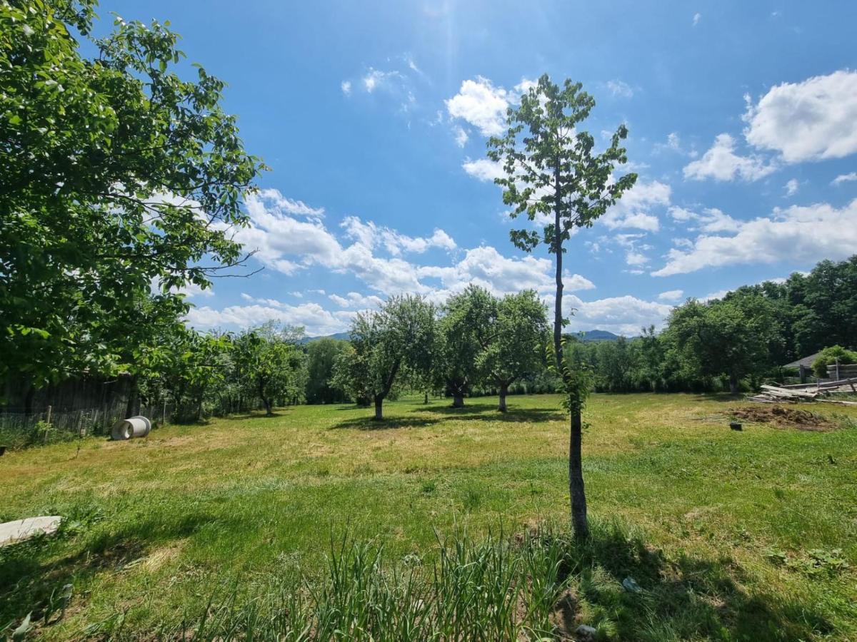 Casa Primitoare In Inima Naturii Si Padurii Rasca  Extérieur photo